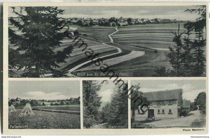 St. Bernhard - Gesamtansicht - Gasthaus und Kolonialwaren Albin Braungardt - Verlag Photo Röschen Themar