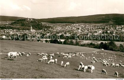 Tuttlingen Panorama Schafherde