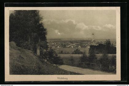 AK Vilsbiburg, Panorama