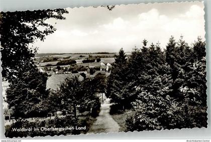 39862588 - Waldbroel