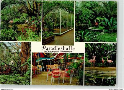 52153609 - Walsrode