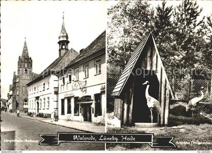 Walsrode Lueneburger Heide Langestrasse Kraniche