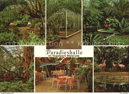Walsrode Lueneburger Heide Pradieshalle Vogelpark