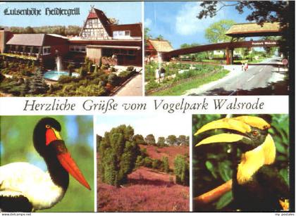 Walsrode Lueneburger Heide Walsrode Vogelpark x 1981