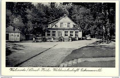Walsrode Lueneburger Heide Walsrode Waldwirtschaft Eckerworth