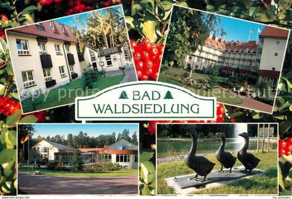 Wandlitz Bad Waldsiedlung Brandenburgklinik Entenskulptur