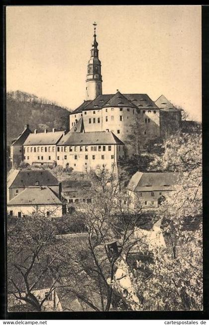 AK Müglitztal, Schloss Weesenstein