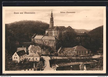 AK Weesenstein, Ortsansicht mit Schloss Weesenstein
