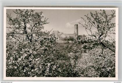 Weinheim Bergstrasse Burgruine Windeck