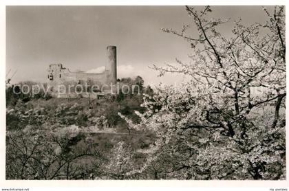 Weinheim Bergstrasse Burgruine Windeck