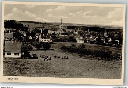 39861846 - Weissenhorn