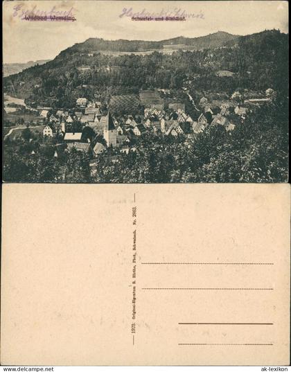 Wemding Panorama-Ansicht Wildbad Wemding Schwefel- Stahlbad 1923