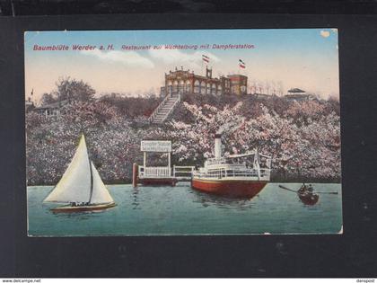 Dt. Reich AK Baumblütte Werder Restaurant zur Wachtelburg