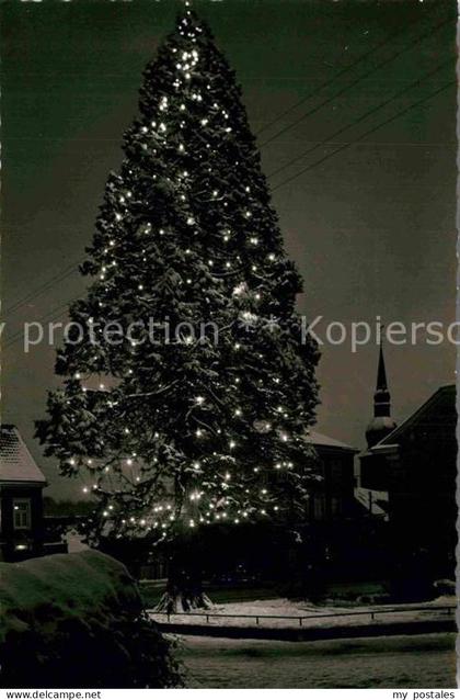 Wermelskirchen Mammutkiefer Weihnachtsbeleuchtung