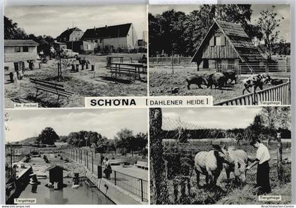 50486359 - Schoena b Oschatz