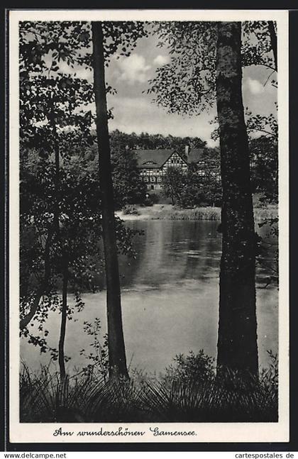 AK Tiefensee / Werneuchen, Am Gamensee