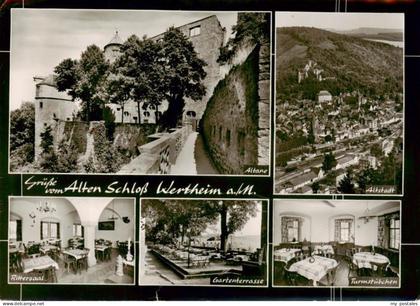 Wertheim Main Schlossruine Wertheim Altane Altstadt Rittersaal Gartenterrasse Tu