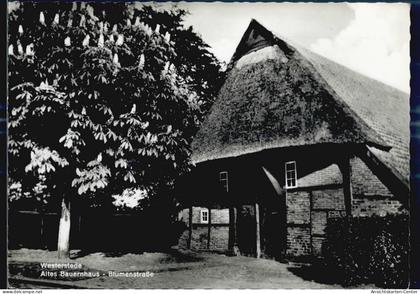 51652439 - Westerstede