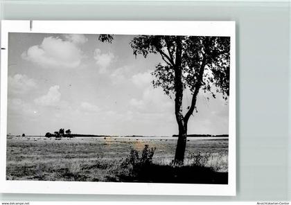 40131844 - Twistringen