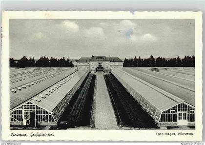 10004588 - Wiesmoor