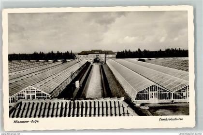 13239742 - Wiesmoor