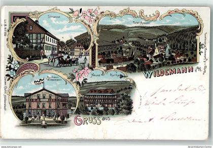 13452799 - Wildemann