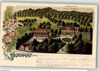 13562570 - Wildemann