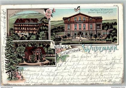 13574524 - Wildemann