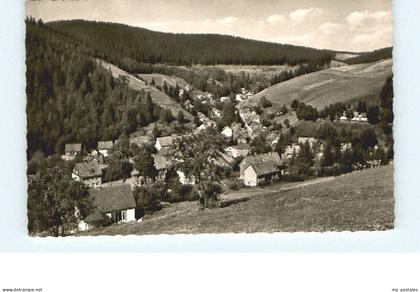 Wildemann Harz Goslar Niedersachsen Wildemann