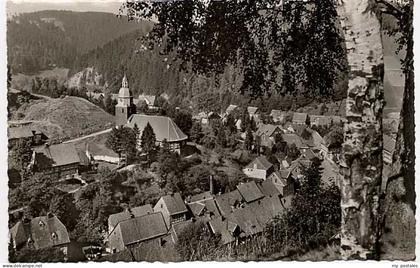 Wildemann Harz Goslar Niedersachsen Wildemann