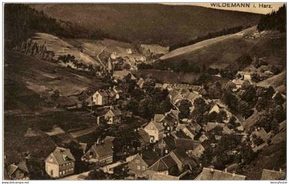 Wildemann im Harz