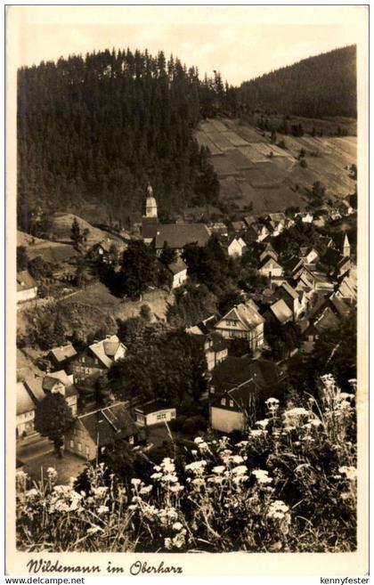 Wildemann im Oberharz