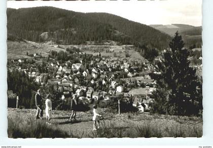 Wildemann Lautenthal