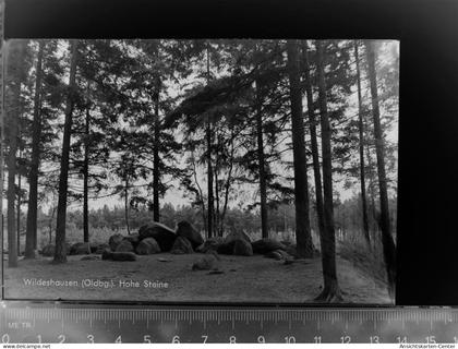 30048079 - Wildeshausen