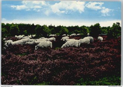 50372390 - Wildeshausen