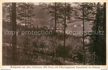 Elkeringhausen Winterberg Waldpartie am alten Grimmen