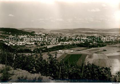 Wittlich Panorama