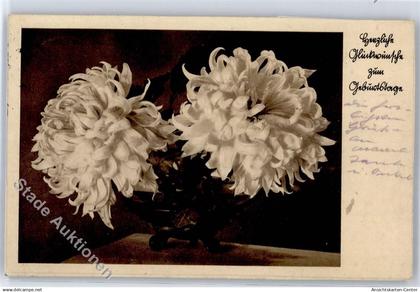 51194245 - Blume
