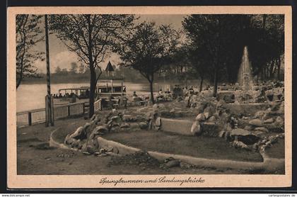 AK Zechlinerhütte b. Rheinsberg, Springbrunnen und Landungshütte