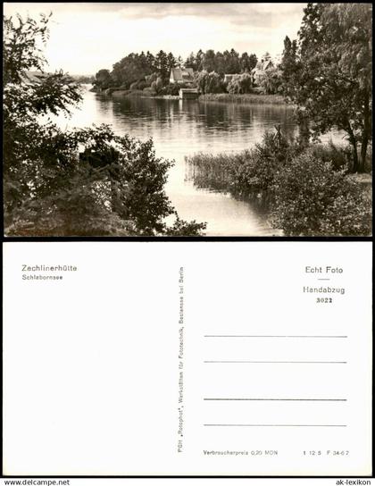 Ansichtskarte Zechlinerhütte/Mark-Rheinsberg Partie am Schlabornsee 1967