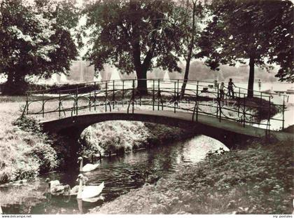 Zeuthen Dahme-Spreewald Brandenburg Zeuthener-See Bruecke Schwaene Park Fontaene