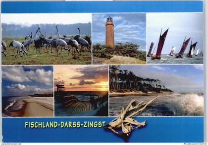50492038 - Zingst , Ostseebad