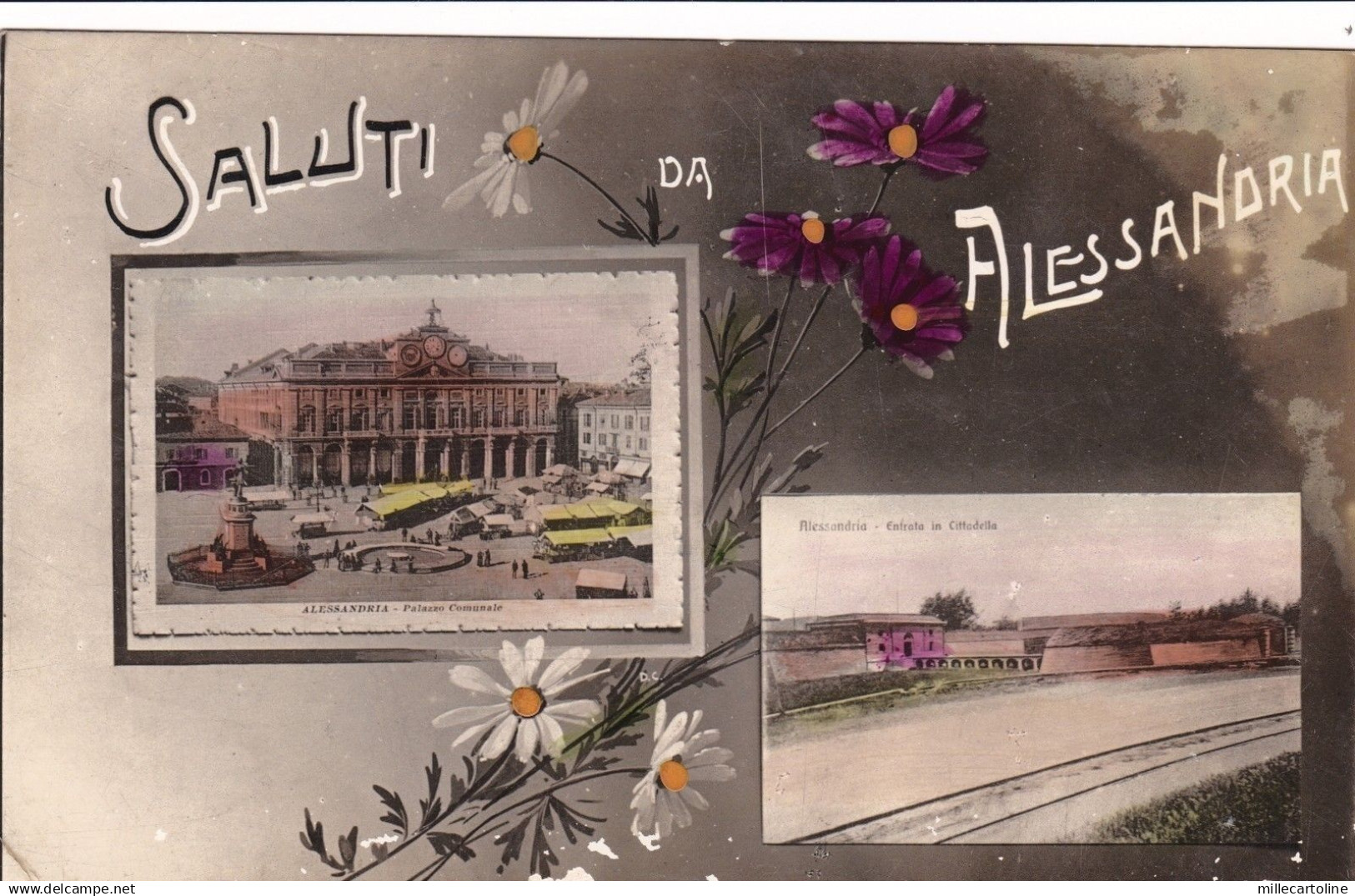 ALESSANDRIA: Saluti da    1916