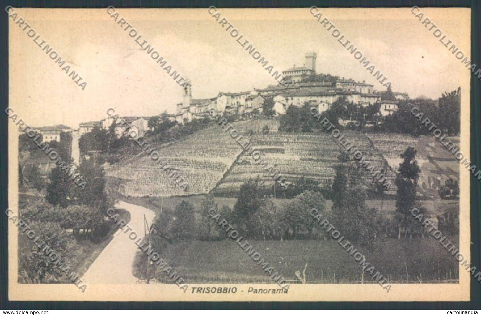 Alessandria Trisobbio cartolina LQ0915