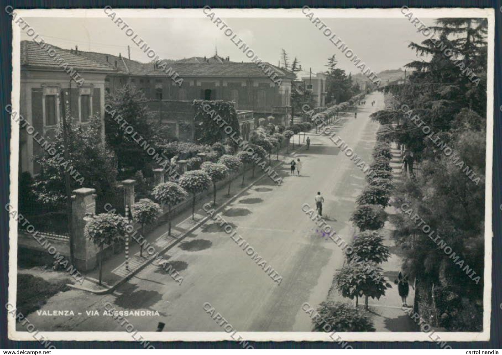 Alessandria Valenza Via Alessandria foto FG cartolina B1875