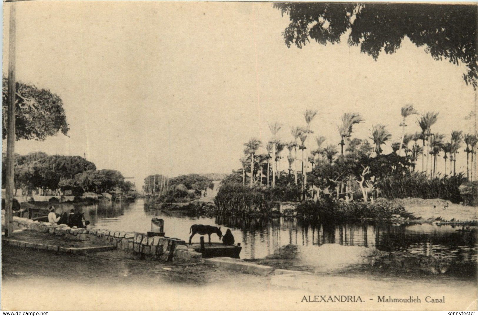 Alexandria - Mahmoudieh Canal