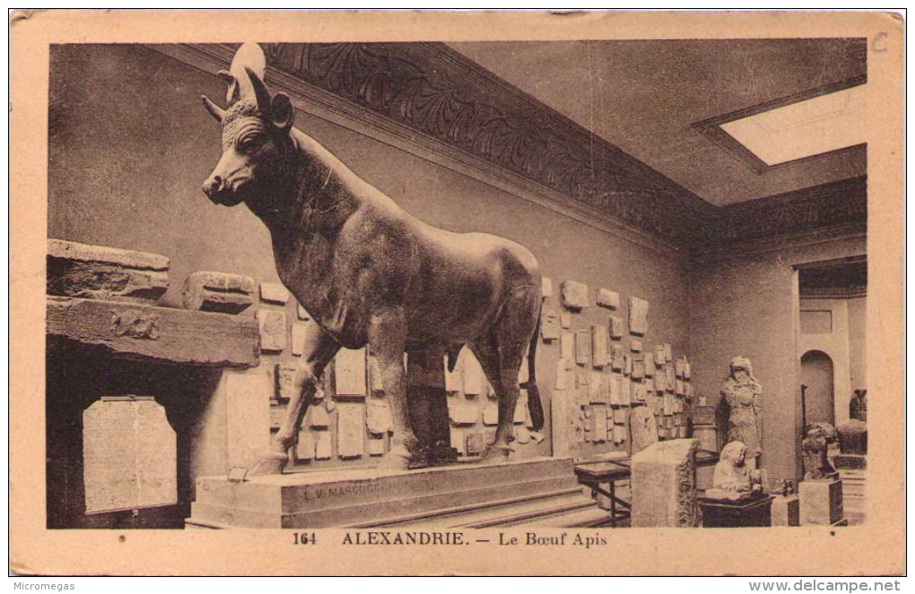ALEXANDRIE - Le Boeuf Apis