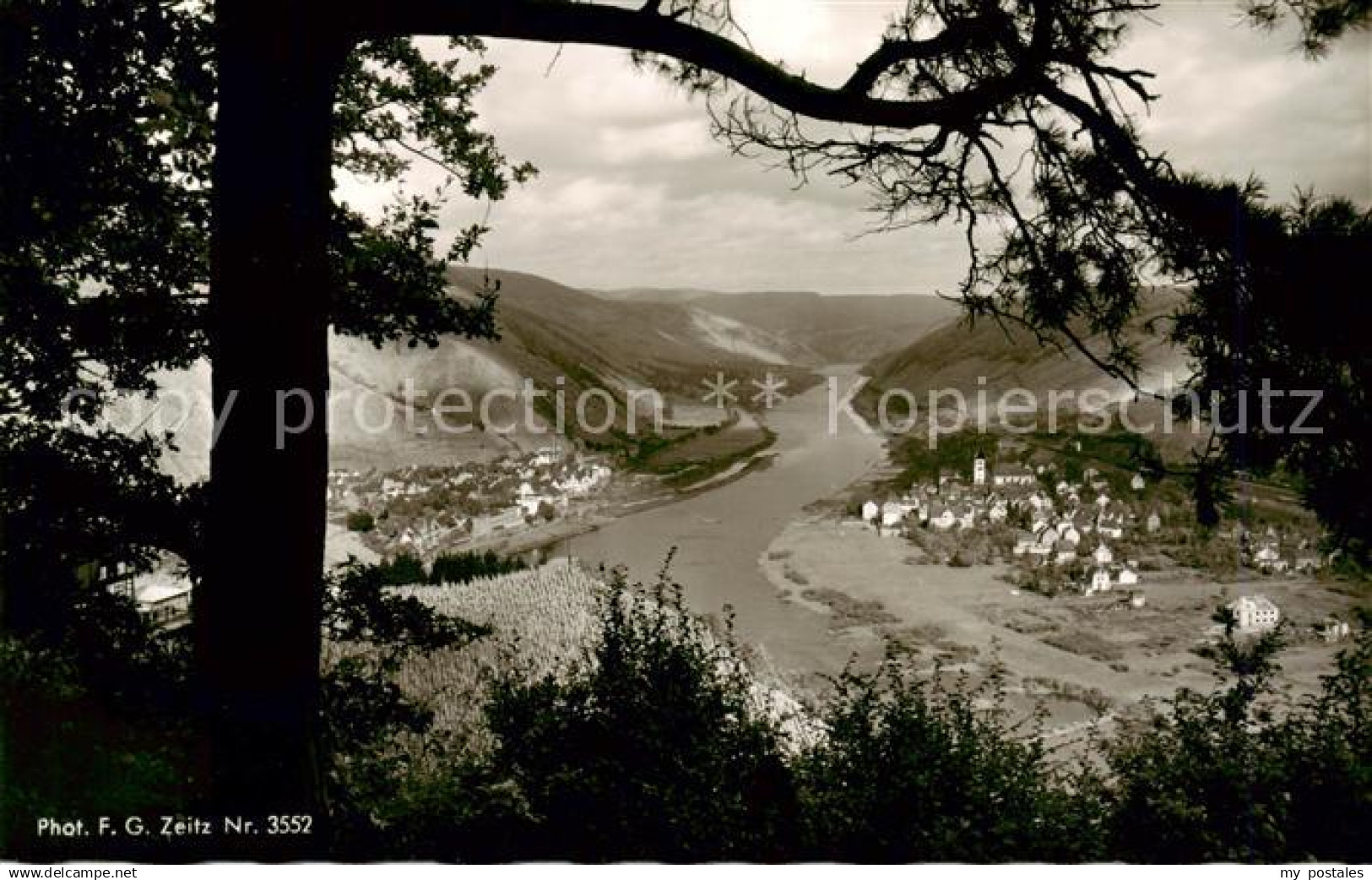 Alf Bullay Mosel Blick ins Moseltal