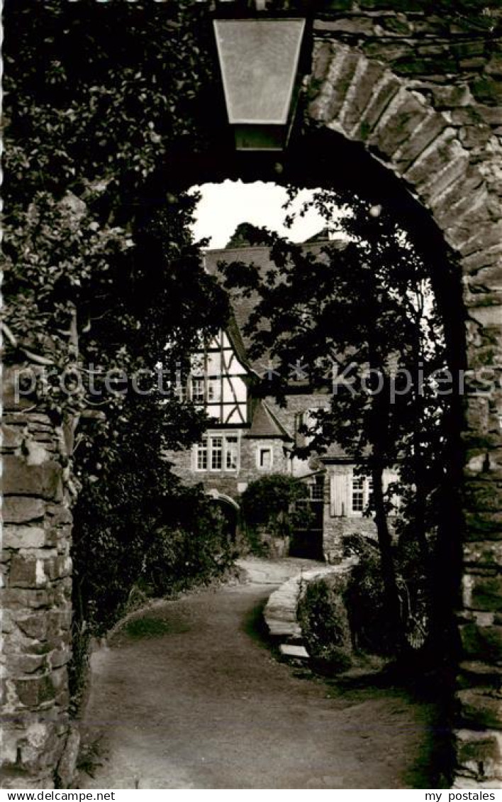 Alf Bullay Mosel Burg Arras