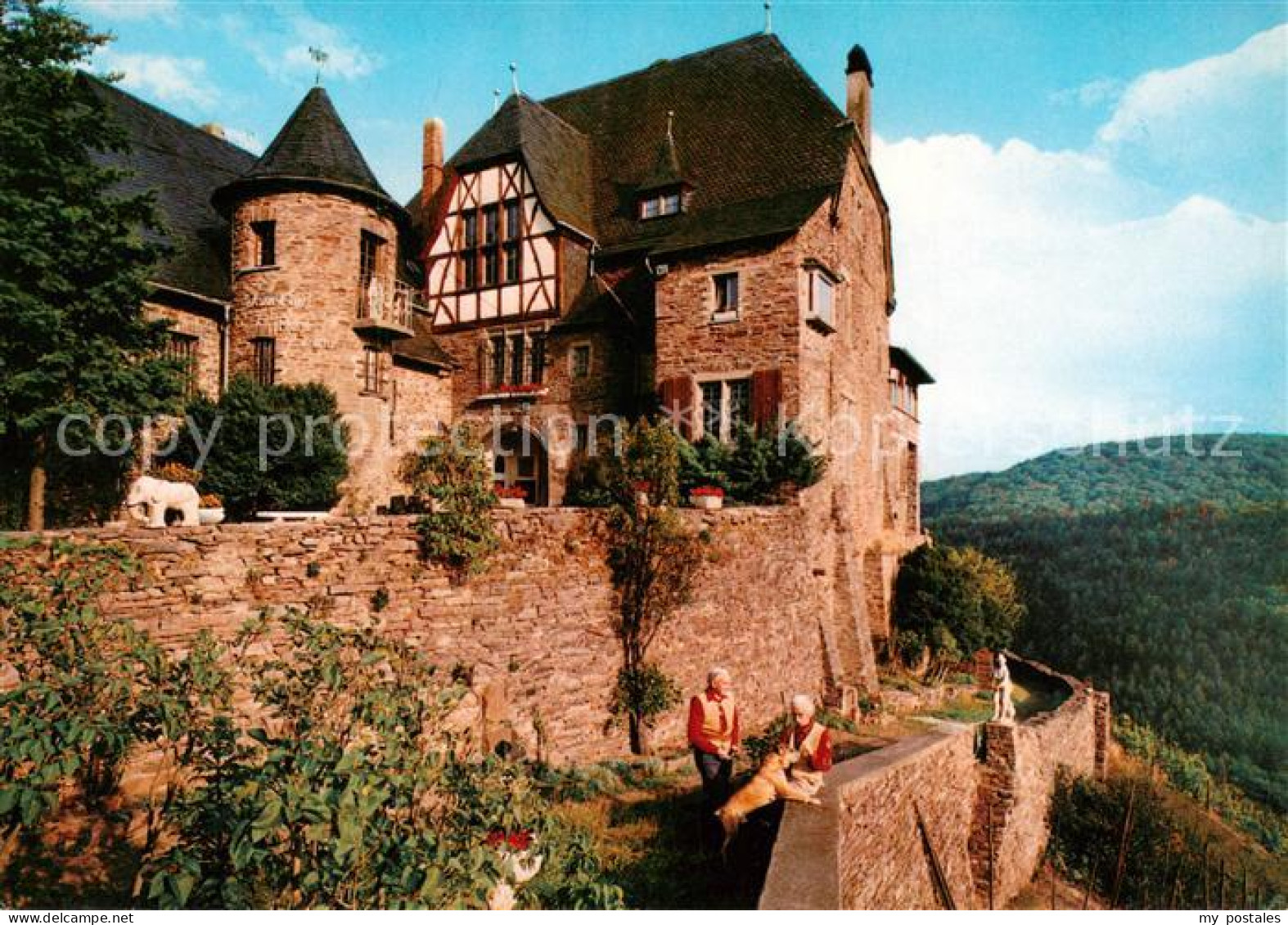Alf Bullay Mosel Burg Arras
